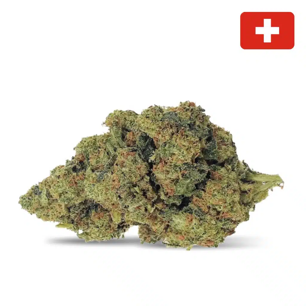 Amnésia Haze — FLEURS CBD